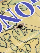 УЦЕНКА Корабль сувенирный средний «Эндимион», 40×6×33 см 56418 - Фото 7