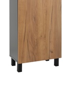 Шкаф – пенал для ванной комнаты «Пронто», с нишей, 500×300×1850 мм, цвет графит/дуб золотой 10976715