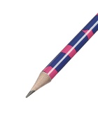 Карандаш чернографитный ErichKrause Pinna Kotta, круглый, с ластиком, HB, в тубусе, МИКС - Фото 5