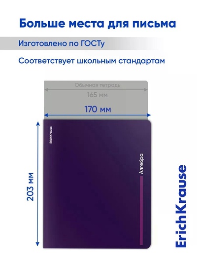 Набор предметных тетрадей ErichKrause Indigo, 12 предметов, 48 листов, с пластиковой обложкой