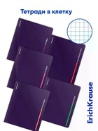Набор предметных тетрадей ErichKrause Indigo, 12 предметов, 48 листов, с пластиковой обложкой - Фото 3