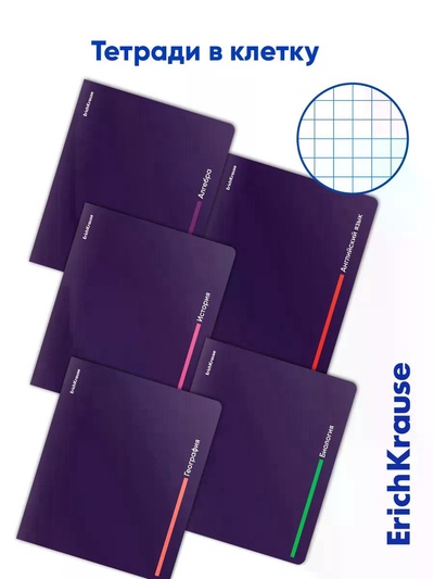 Набор предметных тетрадей ErichKrause Indigo, 12 предметов, 48 листов, с пластиковой обложкой