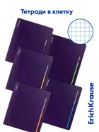 Набор предметных тетрадей ErichKrause Indigo, 12 предметов, 48 листов, с пластиковой обложкой - Фото 4