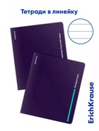 Набор предметных тетрадей ErichKrause Indigo, 12 предметов, 48 листов, с пластиковой обложкой - Фото 5