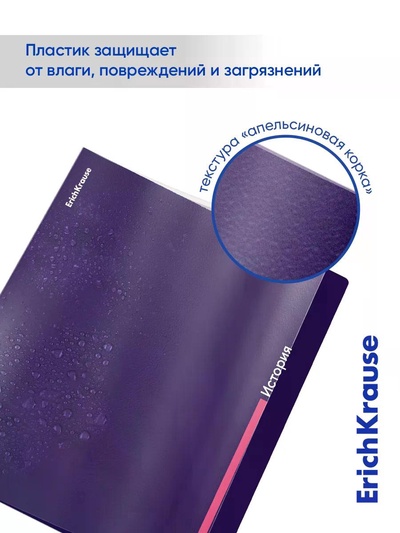 Набор предметных тетрадей ErichKrause Indigo, 12 предметов, 48 листов, с пластиковой обложкой