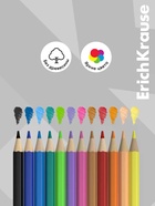 Карандаши 12 цветов, ErichKrause Prima Cat, пластиковые, шестигранные  (артикул 10998603)  большой выбор товаров оптом и в розницу по низким ценам с доставкой