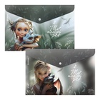 Папка-конверт А4 ErichKrause Magic Pet, на кнопке, МИКС  (артикул 10999384)  большой выбор товаров оптом и в розницу по низким ценам с доставкой
