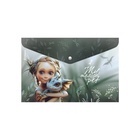 Папка-конверт А4 ErichKrause Magic Pet, на кнопке, МИКС  (артикул 10999384)  большой выбор товаров оптом и в розницу по низким ценам с доставкой