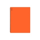 Папка А4 ErichKrause Soft Caribbean Sunset, 20 вкладышей, МИКС - Фото 4