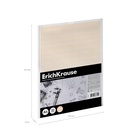 Бумага для черчения А4, 20 листов, ErichKrause, в пластиковой папке  (артикул 10999419)  большой выбор товаров оптом и в розницу по низким ценам с доставкой