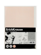 Бумага для черчения А4, 20 листов, ErichKrause, в пластиковой папке 10999419