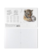 Тетрадь 12 листов в клетку ErichKrause Little Cuties, 60 г/м², обложка мелованный картон, МИКС  (артикул 10999431)  большой выбор товаров оптом и в розницу по низким ценам с доставкой