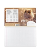 Тетрадь 12 листов в клетку ErichKrause Fluffy, 60 г/м², обложка мелованный картон, МИКС  (артикул 10999433)  большой выбор товаров оптом и в розницу по низким ценам с доставкой