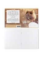 Тетрадь 12 листов в линейку ErichKrause Fluffy, 60 г/м², обложка мелованный картон, МИКС  (артикул 10999434)  большой выбор товаров оптом и в розницу по низким ценам с доставкой