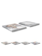 Тетрадь 12 листов в клетку ErichKrause Magic Pet, 60 г/м², обложка мелованный картон, МИКС  (артикул 10999435)  большой выбор товаров оптом и в розницу по низким ценам с доставкой