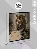 Тетрадь 24 листа в клетку ErichKrause Stay Wild, 60 г/м², обложка мелованный картон, МИКС  (артикул 10999445)  большой выбор товаров оптом и в розницу по низким ценам с доставкой