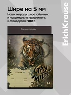 Тетрадь 24 листа в клетку ErichKrause Stay Wild, 60 г/м², обложка мелованный картон, МИКС  (артикул 10999445)  большой выбор товаров оптом и в розницу по низким ценам с доставкой