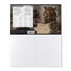 Тетрадь 24 листа в клетку ErichKrause Stay Wild, 60 г/м², обложка мелованный картон, МИКС  (артикул 10999445)  большой выбор товаров оптом и в розницу по низким ценам с доставкой