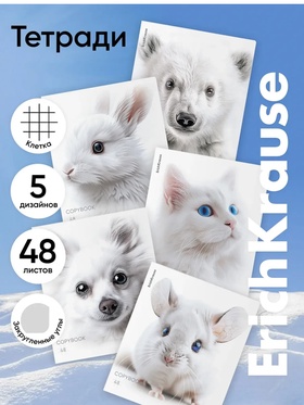 Тетрадь 48 листов в клетку ErichKrause Whiteout, 60 г/м², обложка мелованный картон, МИКС 10999453