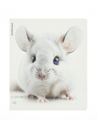 Тетрадь 48 листов в клетку ErichKrause Whiteout, 60 г/м², обложка мелованный картон, МИКС 10999453