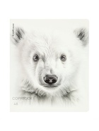 Тетрадь 48 листов в клетку ErichKrause Whiteout, 60 г/м², обложка мелованный картон, МИКС 10999453