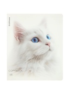 Тетрадь 48 листов в клетку ErichKrause Whiteout, 60 г/м², обложка мелованный картон, МИКС 10999453