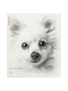 Тетрадь 48 листов в клетку ErichKrause Whiteout, 60 г/м², обложка мелованный картон, МИКС 10999453