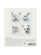 Тетрадь 48 листов в клетку ErichKrause Whiteout, 60 г/м², обложка мелованный картон, МИКС 10999453