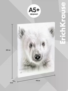 Тетрадь 48 листов в клетку ErichKrause Whiteout, 60 г/м², обложка мелованный картон, МИКС  (артикул 10999453)  большой выбор товаров оптом и в розницу по низким ценам с доставкой