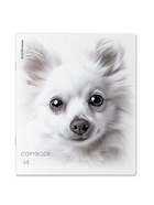 Тетрадь 48 листов в клетку ErichKrause Whiteout, 60 г/м², обложка мелованный картон, МИКС  (артикул 10999453)  большой выбор товаров оптом и в розницу по низким ценам с доставкой