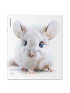 Тетрадь 48 листов в клетку ErichKrause Whiteout, 60 г/м², обложка мелованный картон, МИКС  (артикул 10999453)  большой выбор товаров оптом и в розницу по низким ценам с доставкой