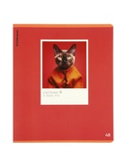 Тетрадь 48 листов в клетку, ErichKrause CatTone, 60 г/м², обложка мелованный картон, блок офсет  (артикул 10999455)  большой выбор товаров оптом и в розницу по низким ценам с доставкой