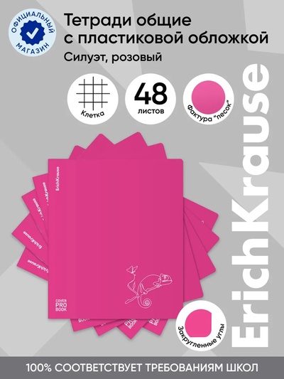 Тетрадь 48 листов в клетку ErichKrause Silhouette, 60 г/м², обложка мелованный картон, МИКС