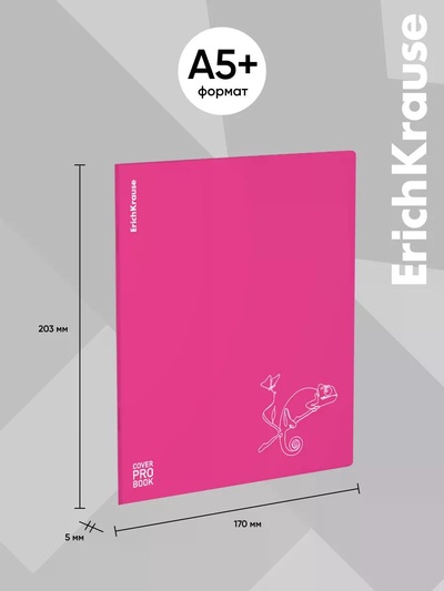 Тетрадь 48 листов в клетку ErichKrause Silhouette, 60 г/м², обложка мелованный картон, МИКС