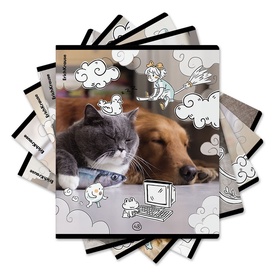 Тетрадь 48 листов в клетку ErichKrause Dream Cat, 60 г/м², обложка мелованный картон, МИКС 10999459