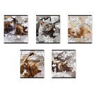 Тетрадь 48 листов в клетку ErichKrause Dream Cat, 60 г/м², обложка мелованный картон, МИКС  (артикул 10999459)  большой выбор товаров оптом и в розницу по низким ценам с доставкой