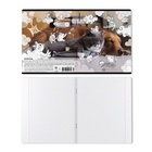 Тетрадь 48 листов в клетку ErichKrause Dream Cat, 60 г/м², обложка мелованный картон, МИКС  (артикул 10999459)  большой выбор товаров оптом и в розницу по низким ценам с доставкой