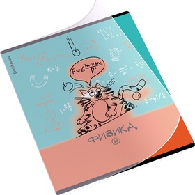 Тетрадь 48 листов в клетку «Физика: Котоформулы» ErichKrause