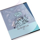 Тетрадь 48 листов в клетку «Биология: Котоформулы» ErichKrause, с пластиковой обложкой  (артикул 10999466)  большой выбор товаров оптом и в розницу по низким ценам с доставкой