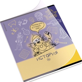 Тетрадь 48 листов в клетку «История: Котоформулы» ErichKrause