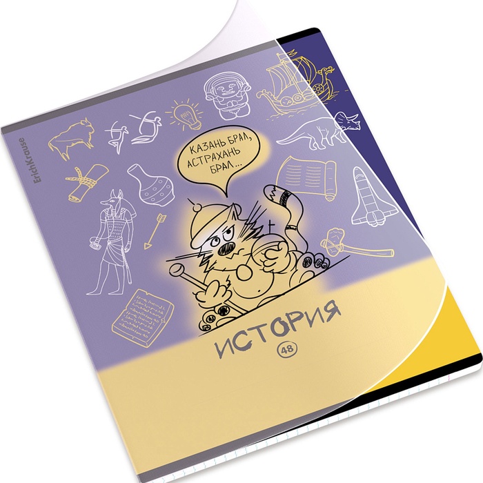 Тетрадь 48 листов в клетку «История: Котоформулы» ErichKrause, с пластиковой обложкой