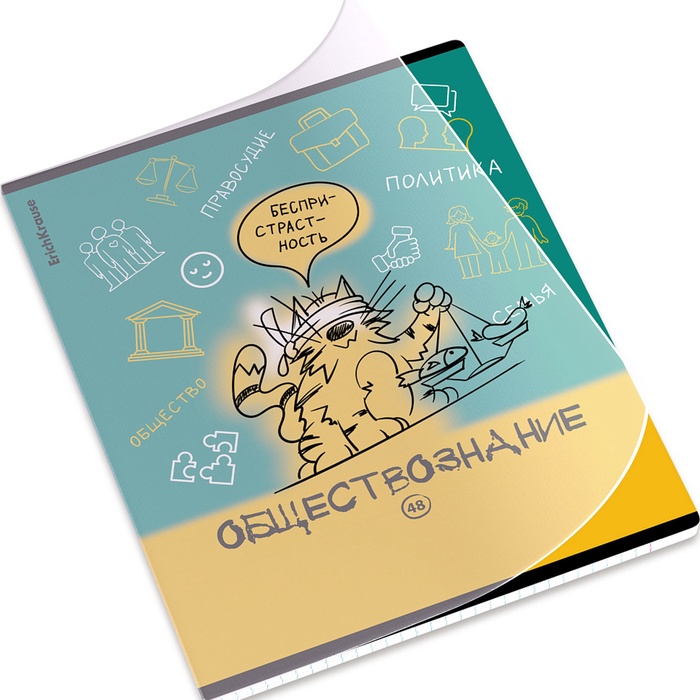 Тетрадь 48 листов в клетку «Обществознание: Котоформулы» ErichKrause, с пластиковой обложкой