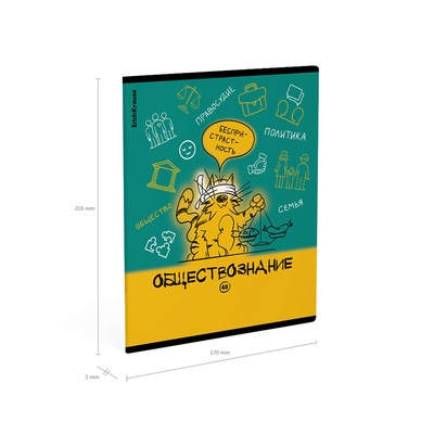 Тетрадь 48 листов в клетку «Обществознание: Котоформулы» ErichKrause, с пластиковой обложкой