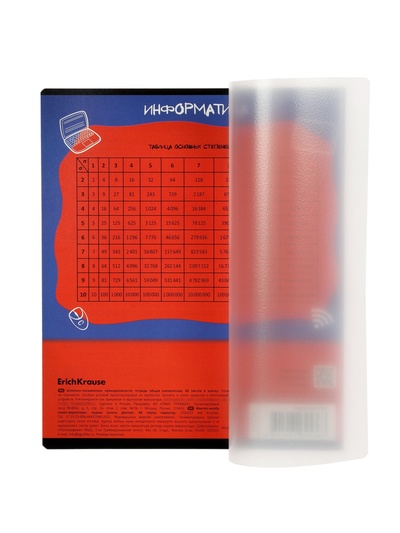 Тетрадь 48 листов в клетку «Информатика: Котоформулы» ErichKrause, с пластиковой обложкой