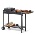 Мангал «МАН 302», 131.5×52×79.7 см, 3 мм, колёса, боковая полка  (артикул 11002984)  большой выбор товаров оптом и в розницу по низким ценам с доставкой