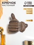 Крючок настенный «Рука - класс», ключница декоративная, чугун, 7.5×3.8×8 см - Фото 1