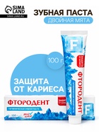 Зубная паста Семейная традиция «Фтородент» двойная мята, 100 г  (артикул 10951498)  большой выбор товаров оптом и в розницу по низким ценам с доставкой