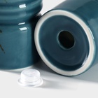 УЦЕНКА Набор для специй 2 пред Magistro «Церера» солонка, перечница, цвет голубой - Фото 4