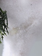 УЦЕНКА Декор «Белый олень в бусинках» 29×16×8 см - Фото 4