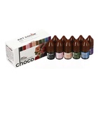 Набор гелевых жирорастворимых пищевых красителей Art Color choco paint, 10 цветов, 12 мл  (артикул 11004181)  большой выбор товаров оптом и в розницу по низким ценам с доставкой